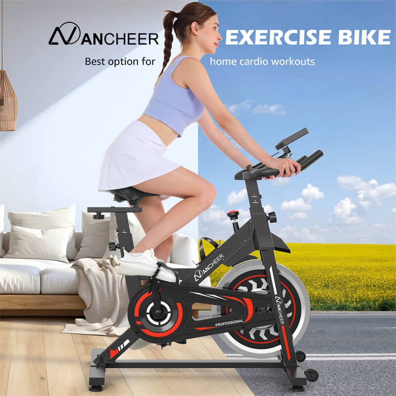 ANCHEER Indoor Exercise Bicycle With Digital Display A5998